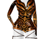 Tiger to zebra set