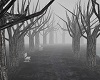 {) Path To NoWhere