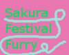 Sakura Festival Hair
