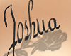Joshua tattoo [F]