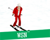 [wsn]Skis