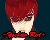 +Yoshito Red+