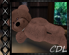 !C* Teddybear Cuddle