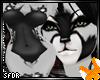 Adorra Bundle