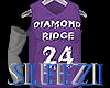 Diamond Ridge Bball [M]