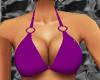 *-*Sexy Purple Bikini