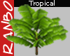 *R*Tropical Banana Plant