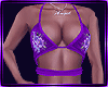 purple rose bundle