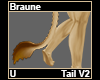 Braune Tail V2