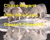 Chase Bryant little bit 