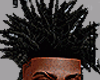Electre B.