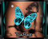 *T*Teal Butterfly Belly