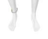 Shell Ankle R