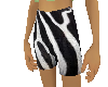 Zebra Sport Shorts
