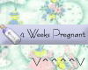 4 Weeks Pregnant (B)