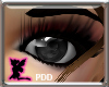 (PDD)Mystery Grey Eyes