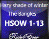 HAZY SHADE OF WINTER