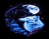 wolf sala