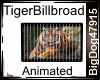 [BD] Tiger Billbroad