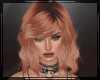 + Lamia Orchid