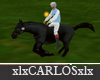 xlx Racing Horse 2