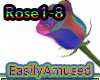Rose Pose
