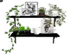 etagere plantes et cadre