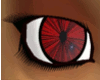Ko's Eyes