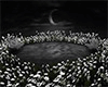 DARK SMALL GARDEN