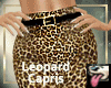 Leopard Capri Pants