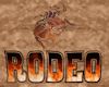 'Rodeo Bullrider