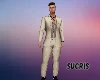 BEIGE LUXURY SUIT