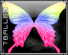 multicolored butterfly