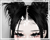 ✦ Noctis