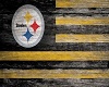 Pitts Steelers 12