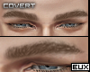 E' Brows | Dirt Blonde