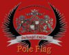 ~K~Fallin Pole Flag