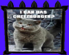 CHEEZBURGER CAT