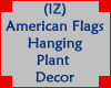 American Hanging Plant