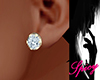 sC* Diamond Set Earrings