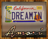 Ѧ; Dreamn License Plate