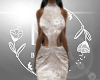 (BR) Silver Dress CT