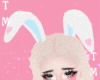 ♥ Bunny Ears | Blue ~