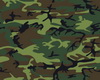 Camo Pants