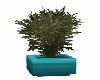 Potted Plant 3 in Teal
