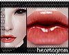 [H] Lips+Liner ~Rose
