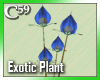 [C59] Exotic Blue 3