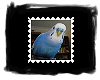 Budgerigar Stamp