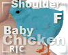R|C Baby Chick Blue F