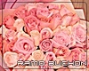 RAMO BUCHON 2